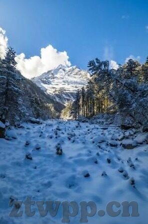 白晶晶果冻传媒个人信息-探索白晶晶果冻传媒，个人信息的数字时代